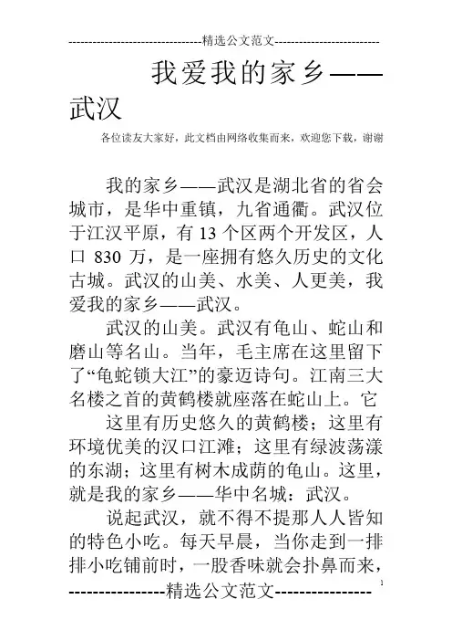 我爱我的家乡――武汉