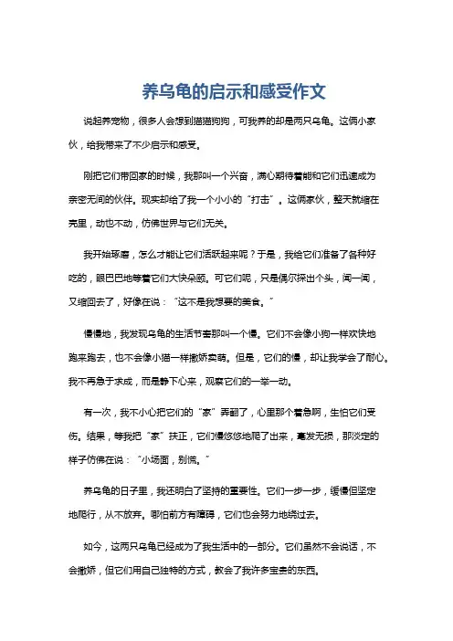 养乌龟的启示和感受作文