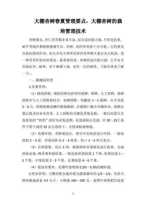 大棚杏树春夏管理要点,大棚杏树的栽培管理技术