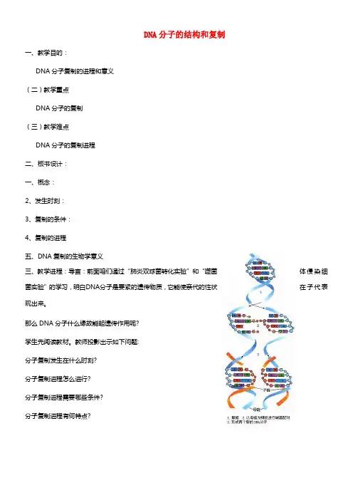 《DNA的结构和DNA的复制》教案（1）(1)