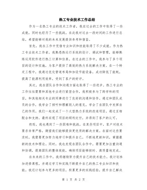 热工专业技术工作总结