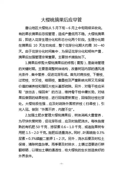 大樱桃摘果后应早管