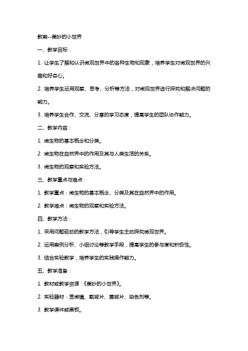 教案--美妙的小世界