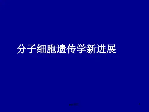 分子细胞遗传学新进展ppt课件