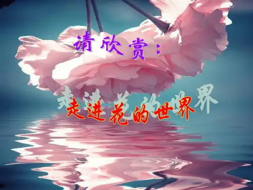 人教版初中生物七上3.2.3 开花和结果 课件 (共44张PPT)