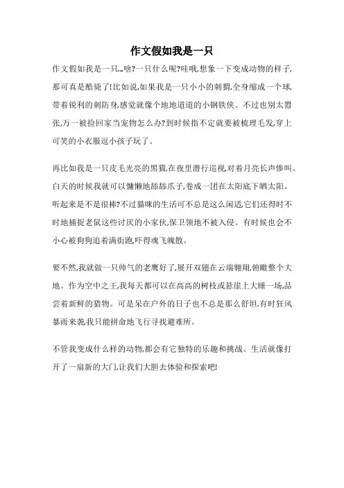 作文假如我是一只
