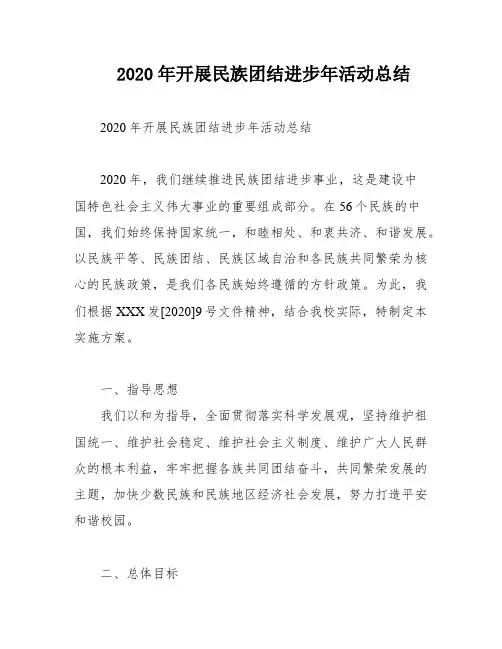 2020年开展民族团结进步年活动总结