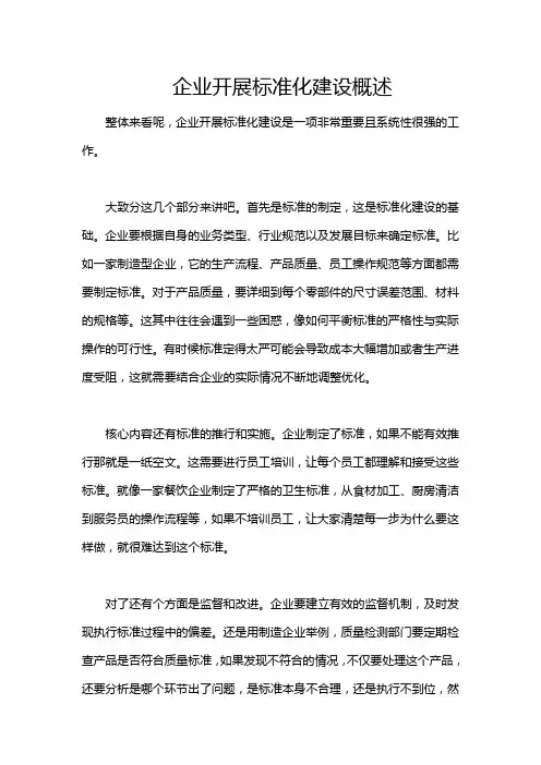 企业开展标准化建设概述