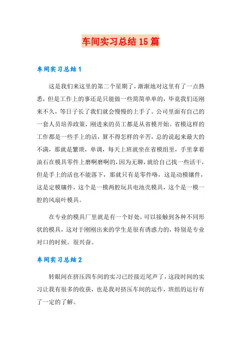 车间实习总结15篇