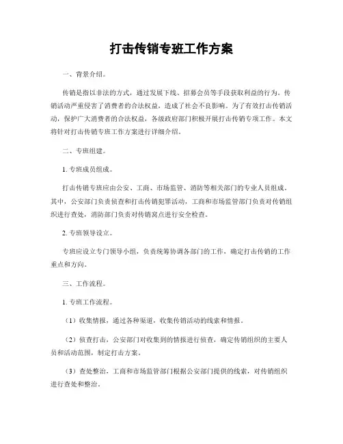 打击传销专班工作方案