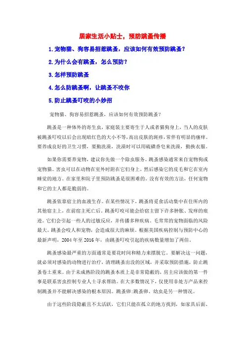 居家生活小贴士,预防跳蚤传播