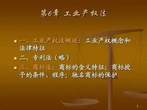 第6章工业产权法