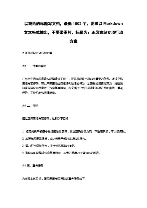 正风肃纪专项行动方案