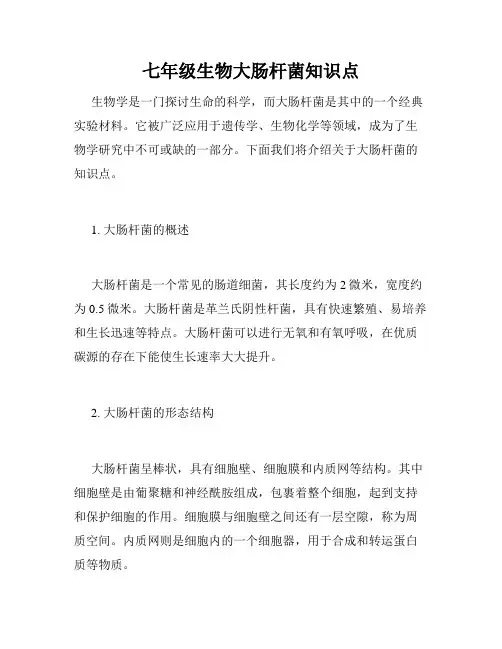 七年级生物大肠杆菌知识点