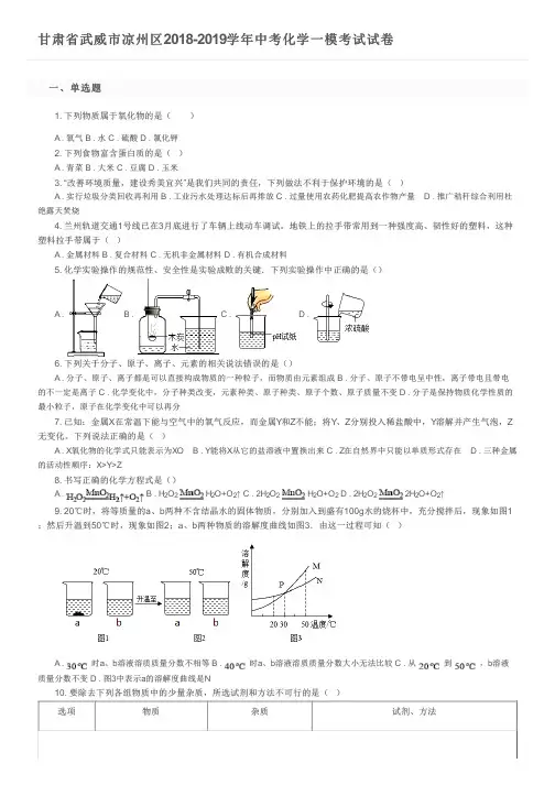 甘肃省武威市凉州区2018-2019学年中考化学一模考试试卷及参考答案