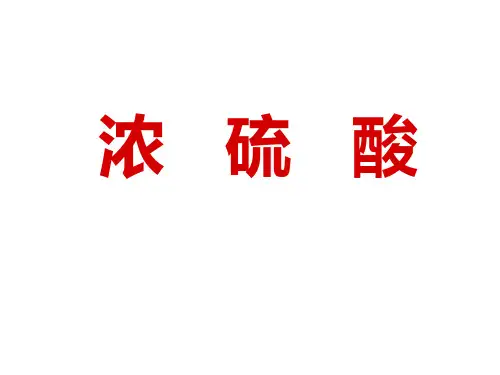 沪科版化学高一下册-5.3.1   浓   硫   酸 课件 