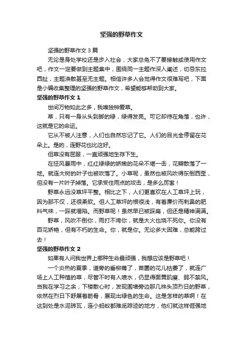 坚强的野草作文3篇