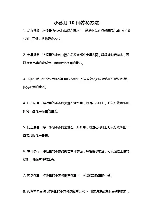 小苏打10种养花方法