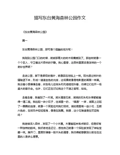 描写东台黄海森林公园作文
