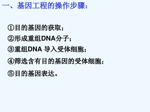 基因工程的原理和技术