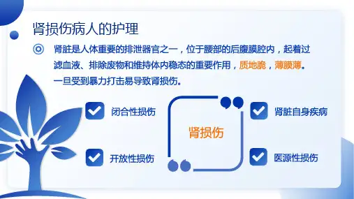 肾损伤病人的护理1