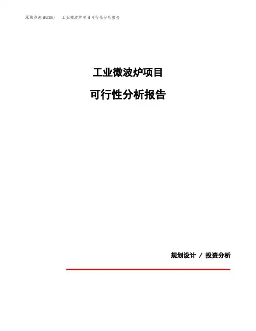 工业微波炉项目可行性分析报告(模板参考范文)