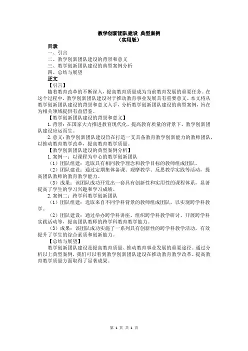 教学创新团队建设 典型案例
