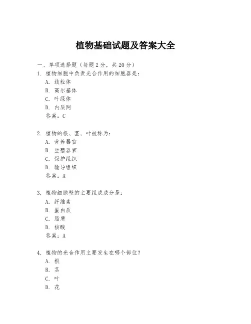 植物基础试题及答案大全