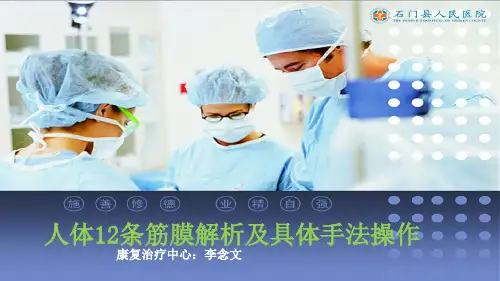 人体12条筋膜解析及具体手法操作