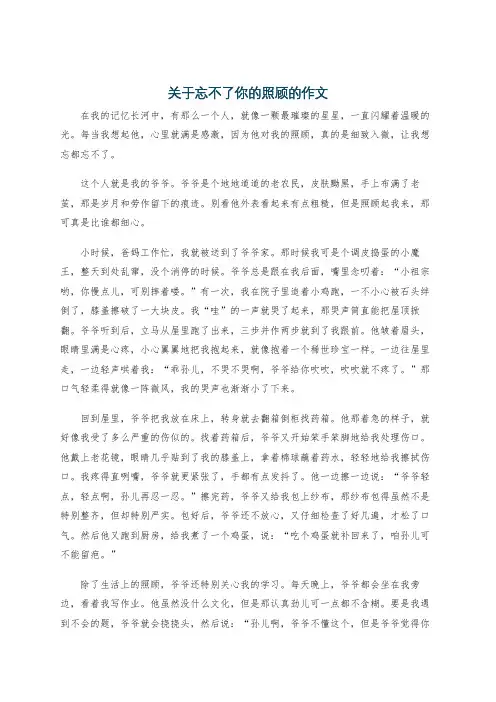 关于忘不了你的照顾的作文