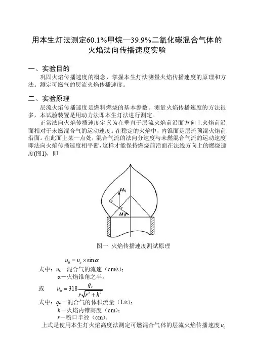 1本生灯法测定燃气法向火焰传播速度测试装置-副本（1）