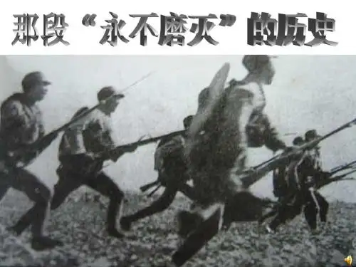 我家乡的抗战史——山东枣庄