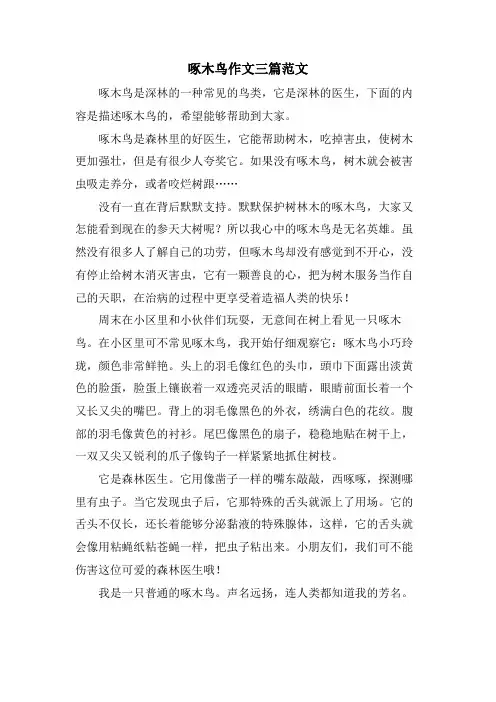 啄木鸟作文三篇范文