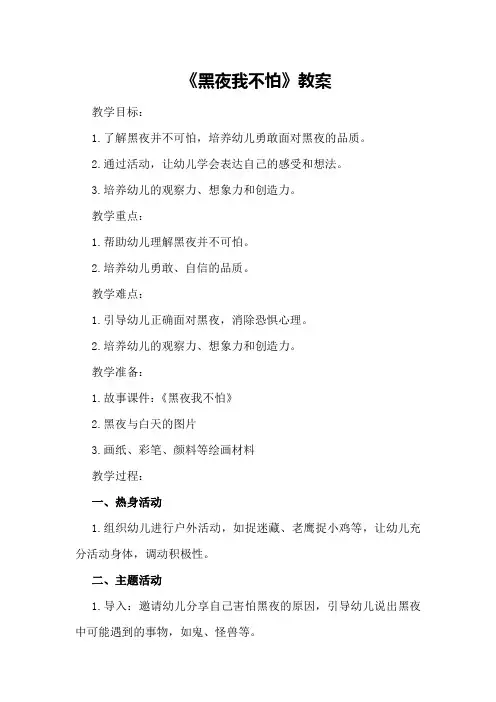 中班健康《黑夜我不怕》教案