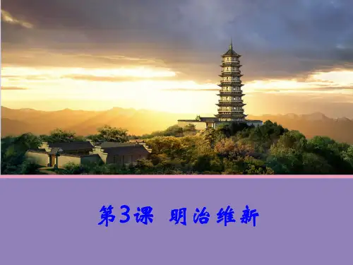 高中历史人教版选修1课件 第八单元 第3课 明治维新