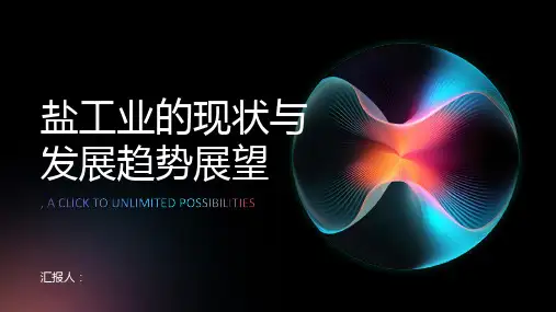 盐工业的现状与发展趋势展望