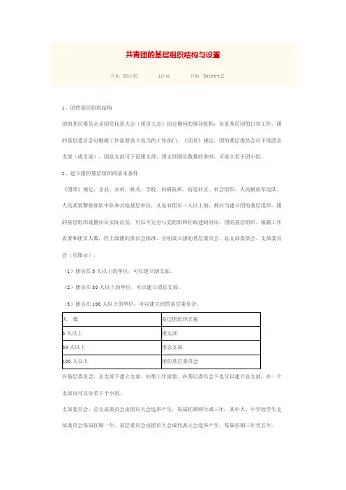 共青团的基层组织结构与设置
