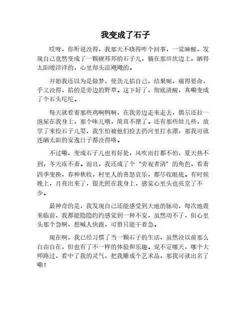 我变成了一个石子作文