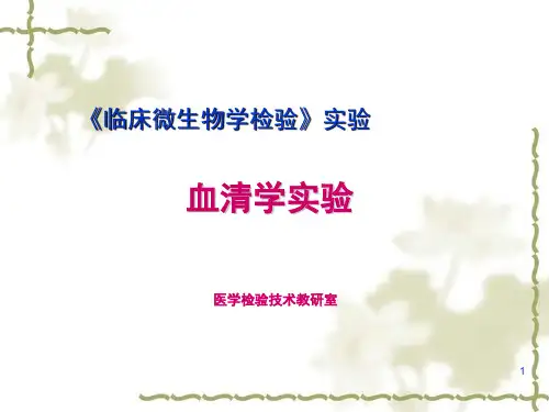 血清学鉴定实验ppt课件