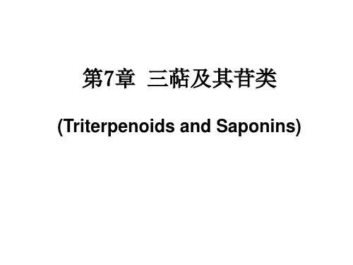 天然药物化学 第7章 三萜及其苷类