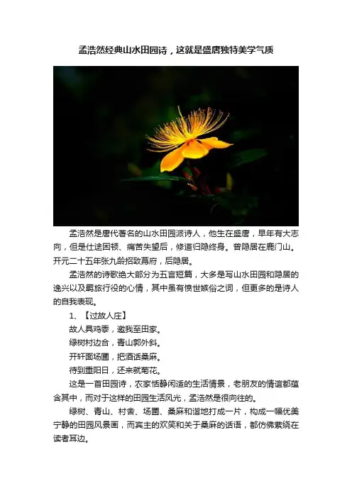 孟浩然经典山水田园诗，这就是盛唐独特美学气质