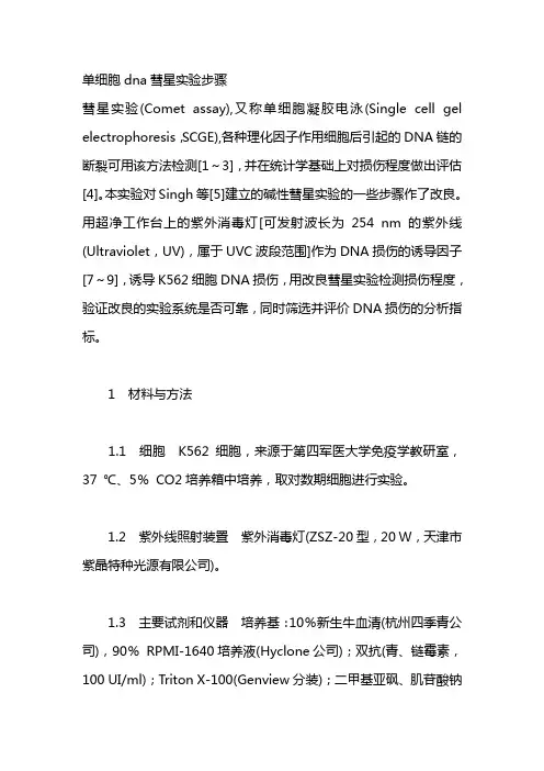 单细胞dna彗星实验步骤