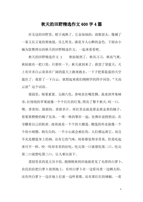 秋天的田野精选作文600字4篇