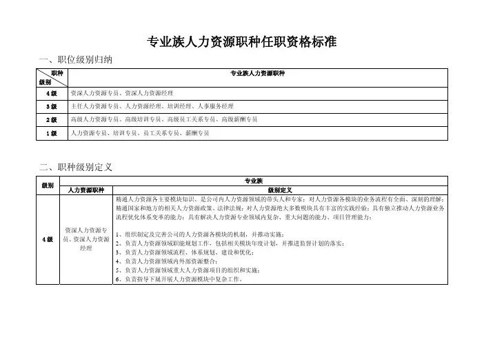 人力资源职种任职资格标准100101