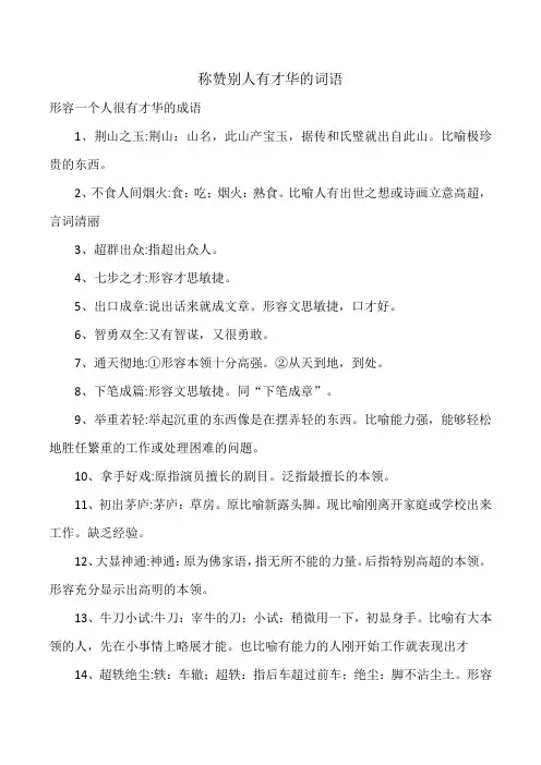 称赞别人有才华的词语