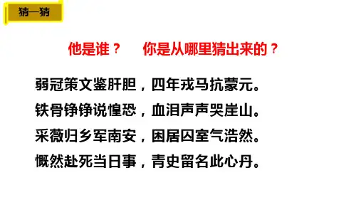 语文人教版部编版九年级下册《过零丁洋》
