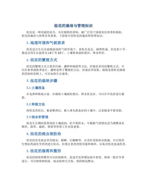 桂花的栽培与管理知识