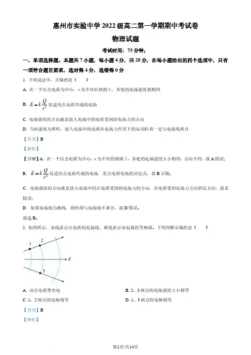 广东惠州实验中学2023-2024学年高二上学期期中考试物理试卷(解析版)