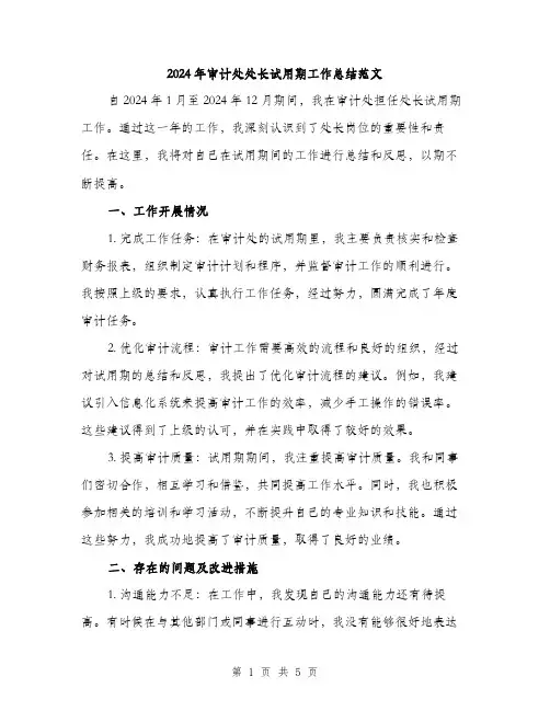 2024年审计处处长试用期工作总结范文(二篇)