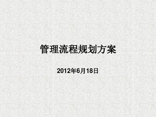 项目管理及流程说明PPT课件